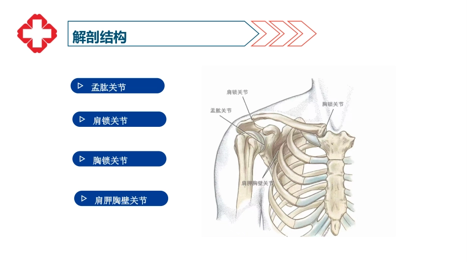 肩关节脱位患者护理查房_第5页