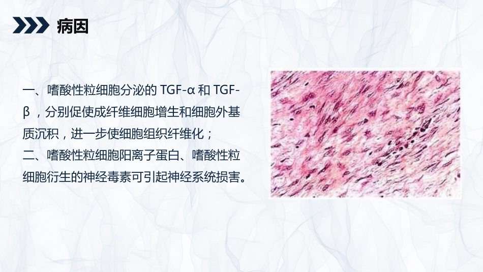 内科护理：嗜酸细胞增多症的护理查房知识_第10页