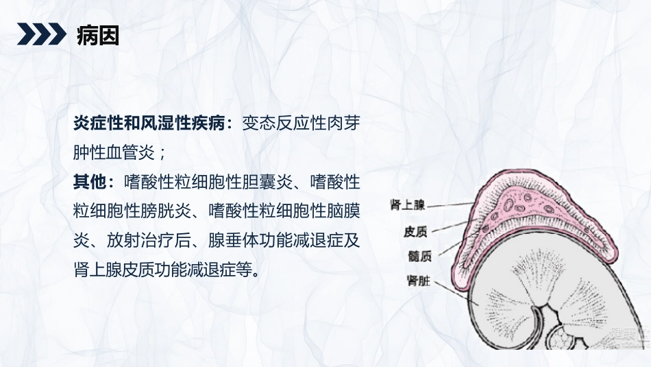 内科护理：嗜酸细胞增多症的护理查房知识_第8页