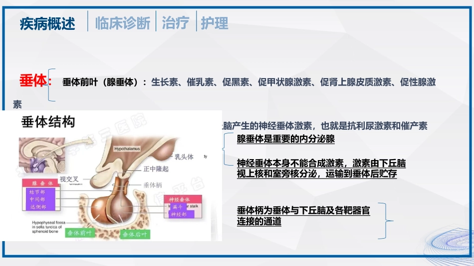 垂体瘤的治疗和护理_第8页