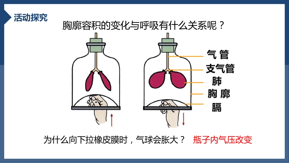 发生在肺内的气体交换2_第10页