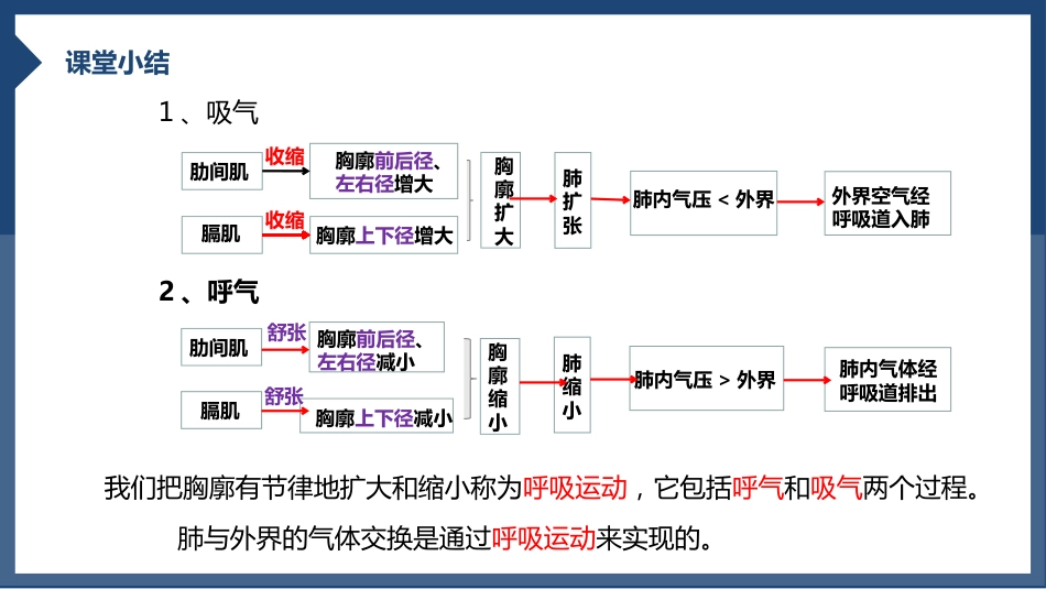 发生在肺内的气体交换2_第13页