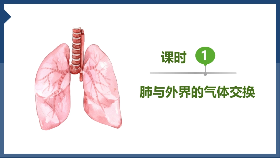 发生在肺内的气体交换2_第3页
