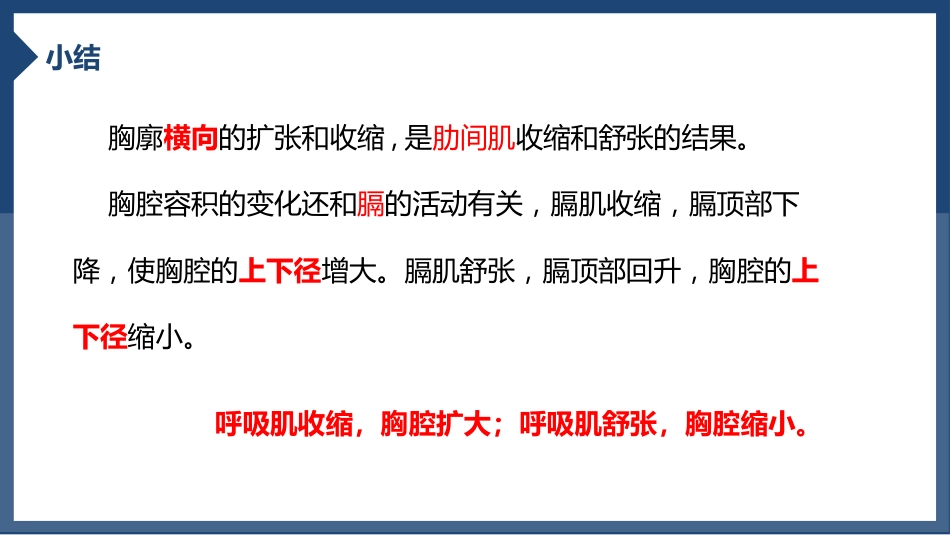 发生在肺内的气体交换2_第9页