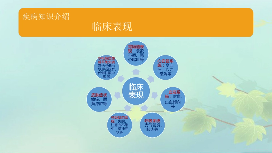 尿毒症护理查房PPT课件_第5页