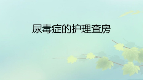 尿毒症护理查房PPT课件