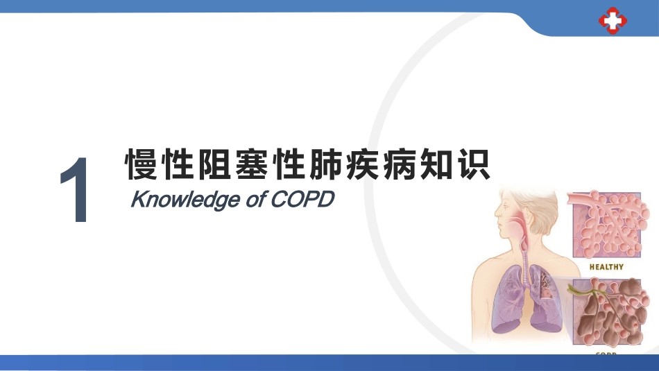 慢性阻塞性肺病护理查房_第3页