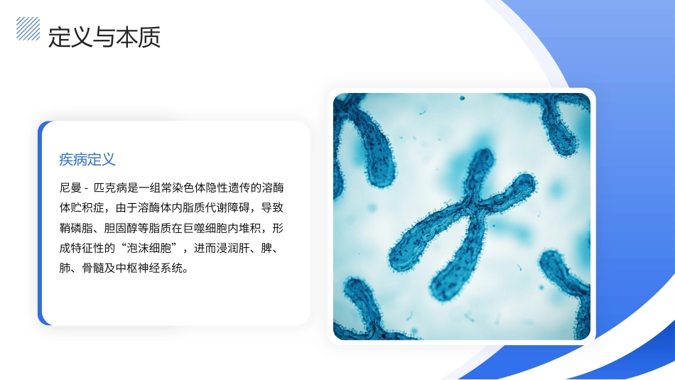 尼曼-匹克病（NPD）护理查房带参考文献_第4页
