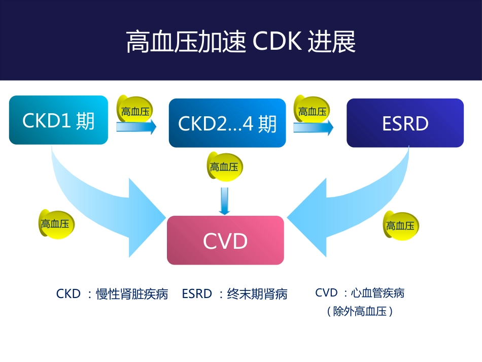 尿毒症难治性高血压病例分享_第4页