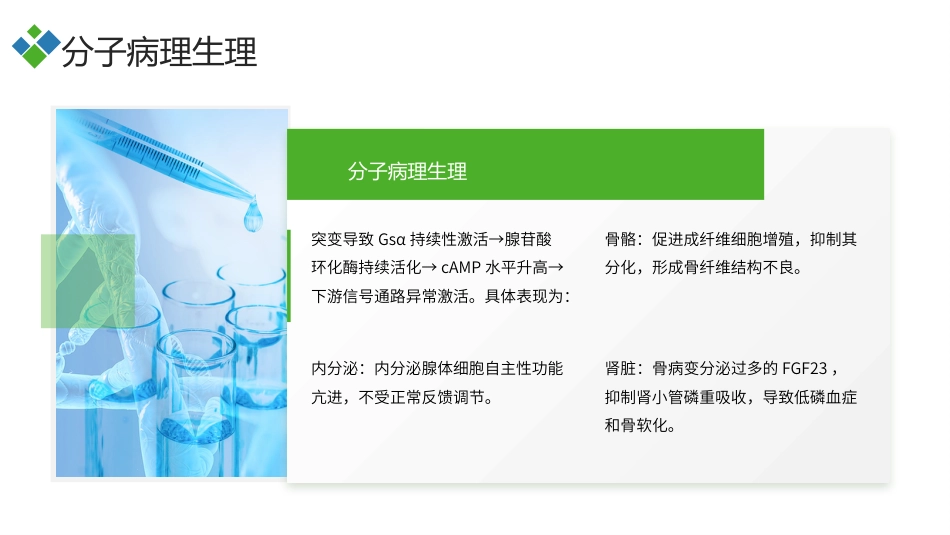 McCune-Albright综合征（MAS）护理查房带参考文献_第11页