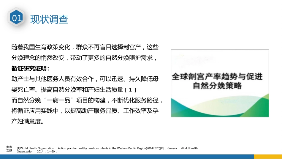 顺产一病一品_第5页