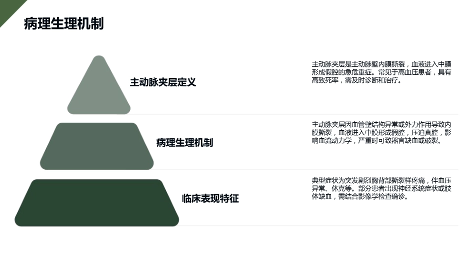 主动脉夹层护理查房_第4页