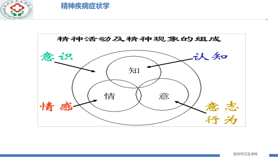 精神疾病的病因及症状学_第13页