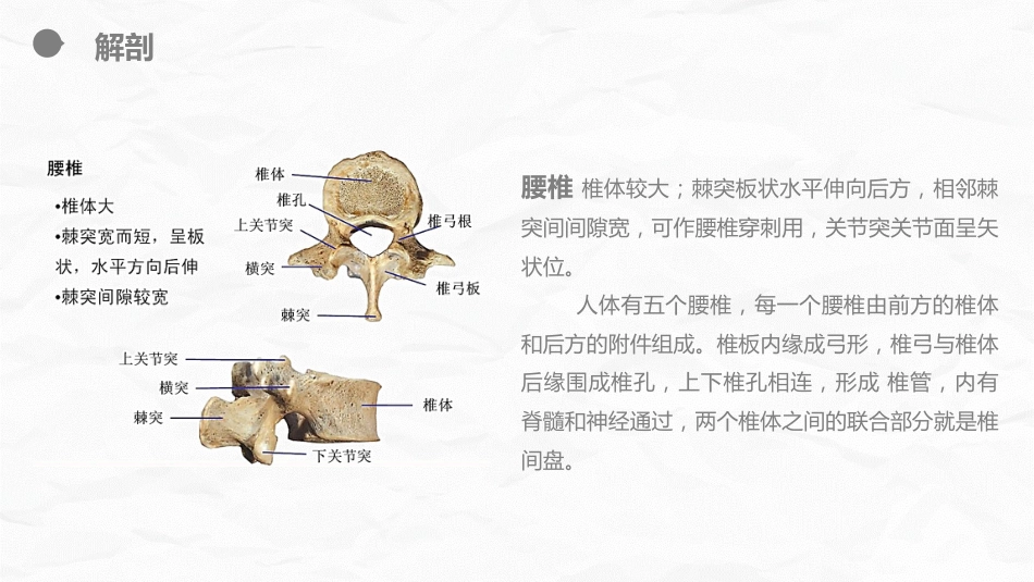 外科护理：腰颈椎联合手术患者术后护理_第5页