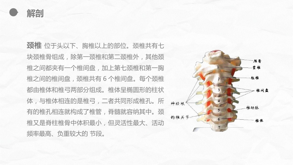 外科护理：腰颈椎联合手术患者术后护理_第6页