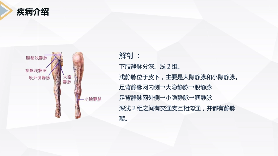 外科护理：下肢静脉曲张的护理查房_第4页