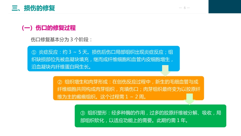 损伤病人的护理_第6页