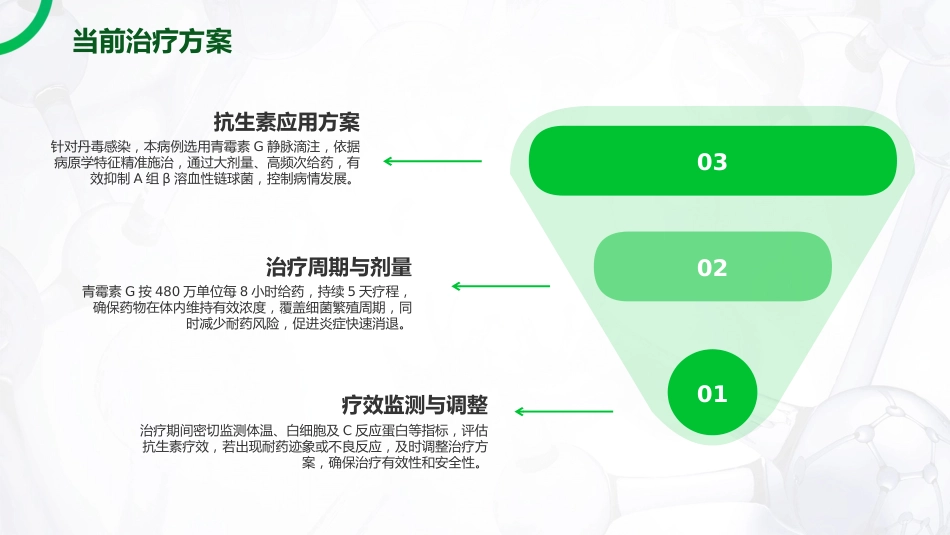 丹毒护理查房_第10页