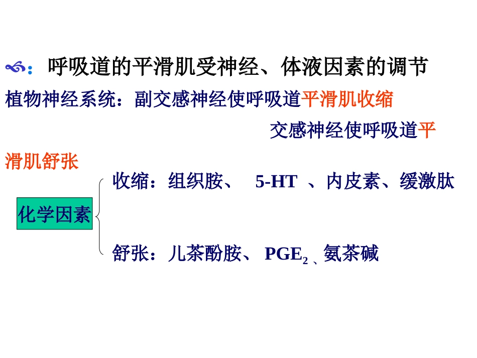 生理学-呼-吸_第5页