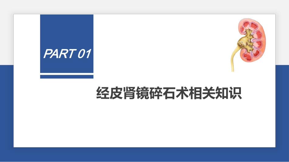 经皮肾镜碎石术后护理课件_第3页
