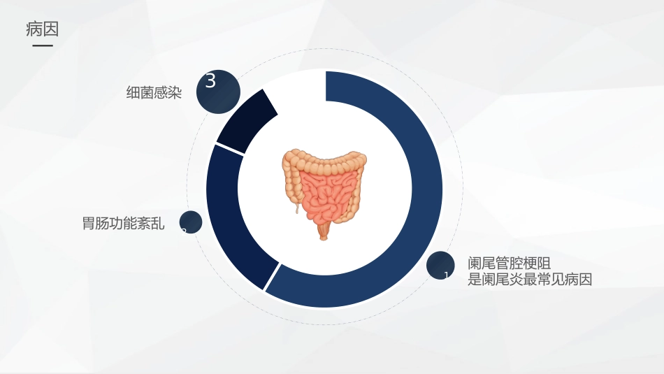 外科护理：阑尾炎的护理查房_第6页