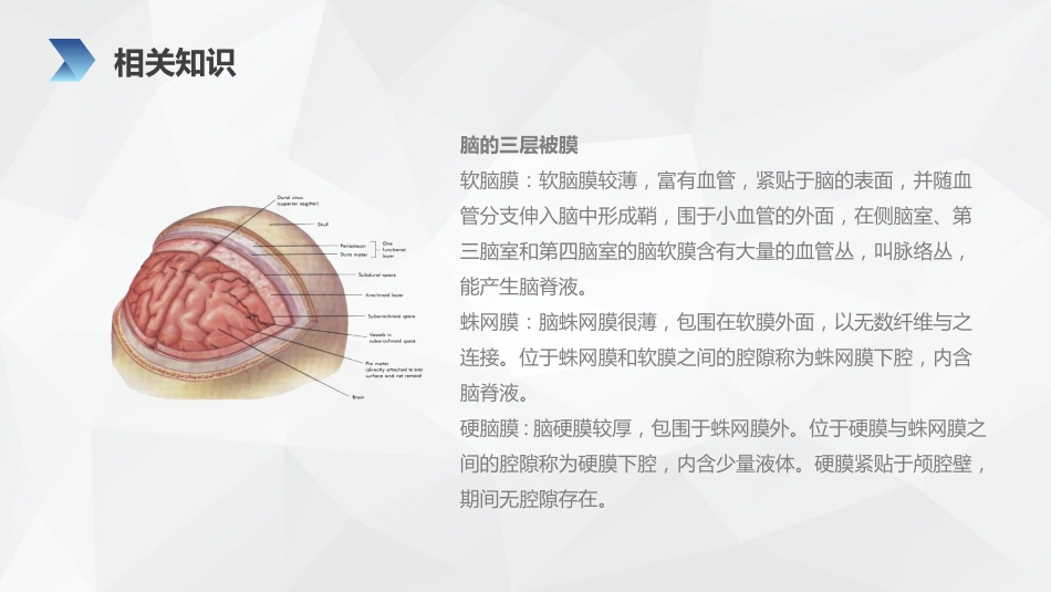 外科护理：亚急性硬膜下血肿护理查房_第9页