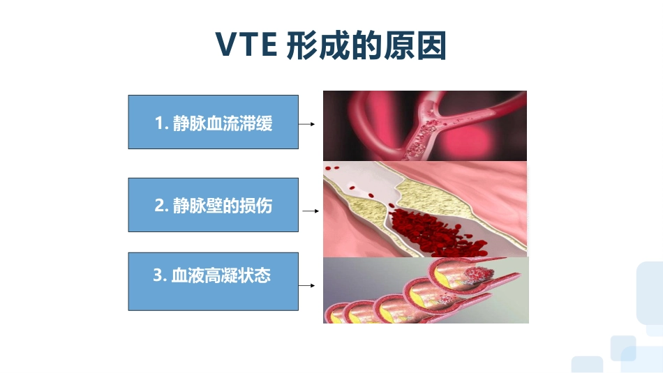 vte的预防及护理课件-(完整版)_第11页