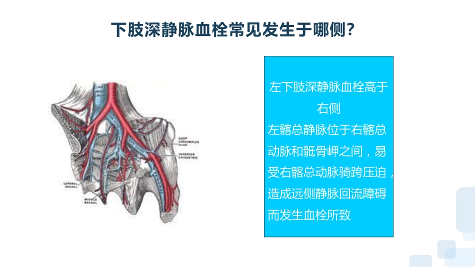 vte的预防及护理课件-(完整版)_第14页