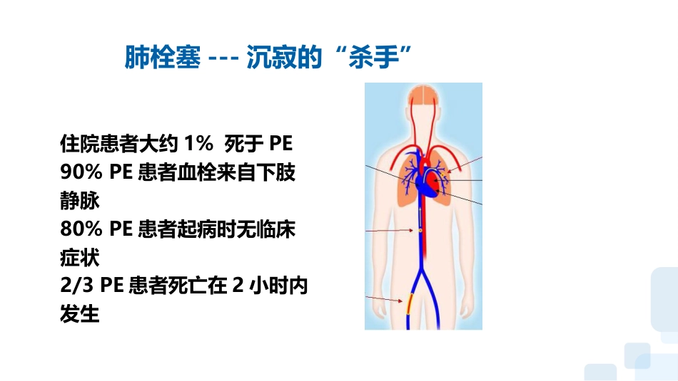 vte的预防及护理课件-(完整版)_第7页