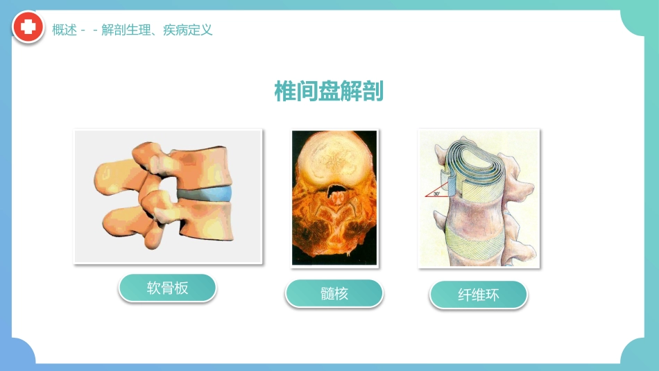 外科护理：腰椎间盘突出症围手术期护理及康复锻炼_第5页