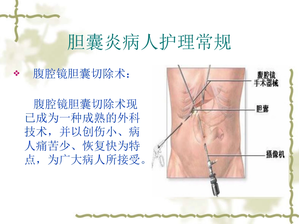 胆囊炎病人护理常_第11页
