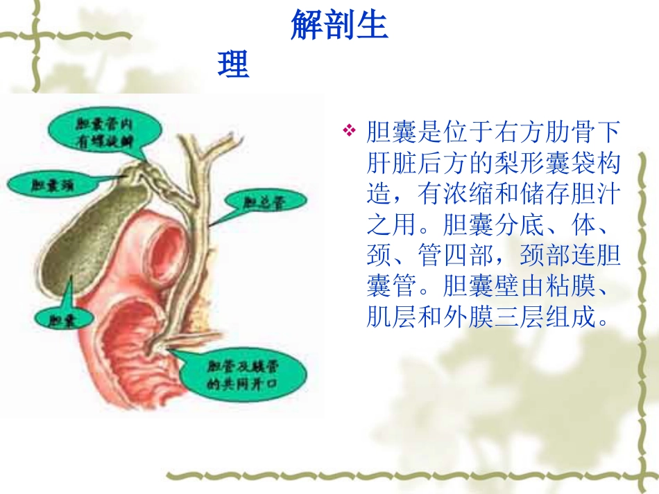 胆囊炎病人护理常-PPT_第3页