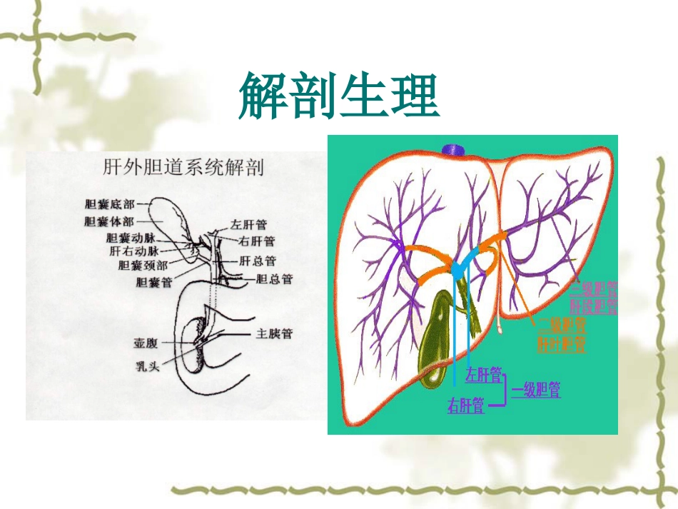 胆囊炎病人护理常-PPT_第4页
