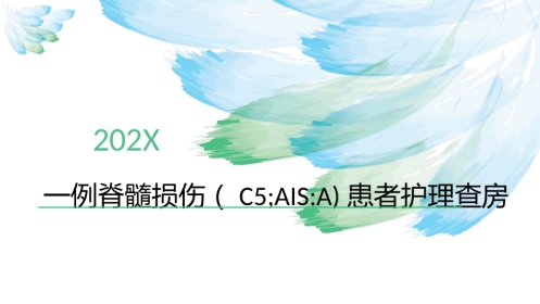 脊髓损伤的护理查房ppt课件