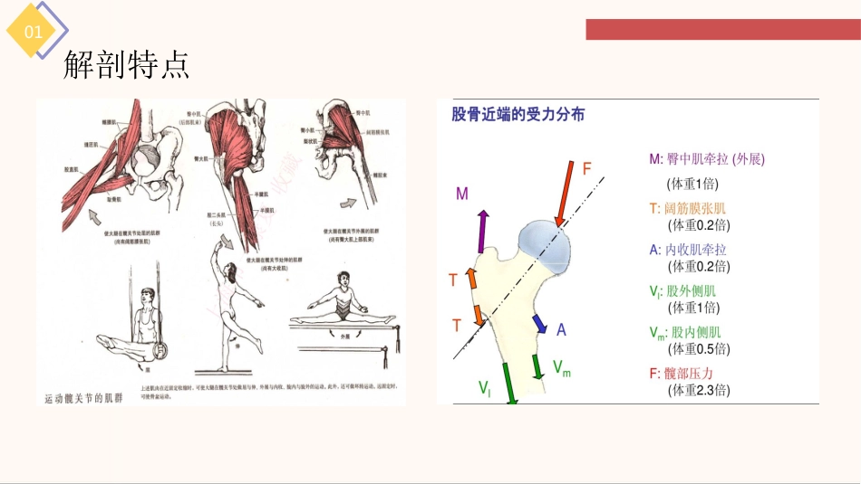 股骨粗隆间骨折的护理查房_第7页