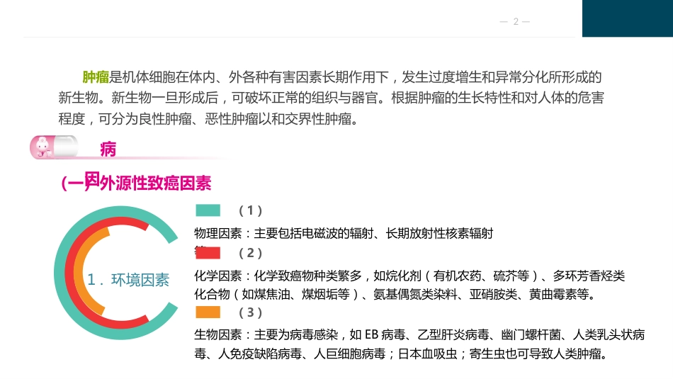 肿瘤病人的护理_第2页