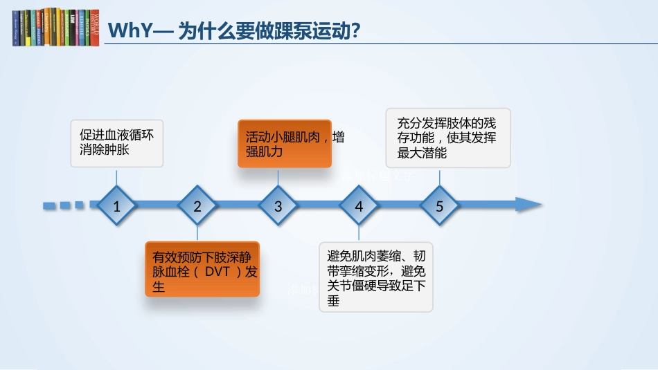 踝泵运动_第11页
