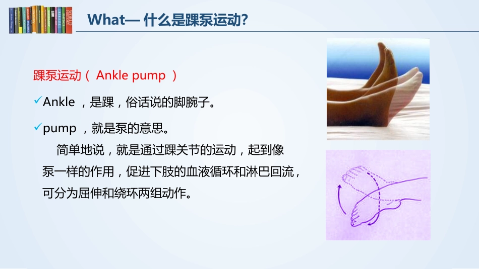 踝泵运动_第5页