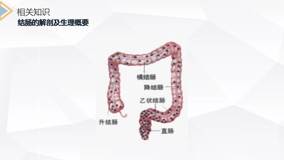 外科护理：结肠癌直肠癌护理_第4页