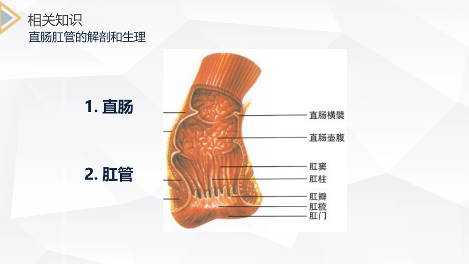 外科护理：结肠癌直肠癌护理_第6页