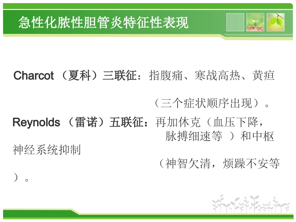 外科护理：胆总管结石护理查房_第13页
