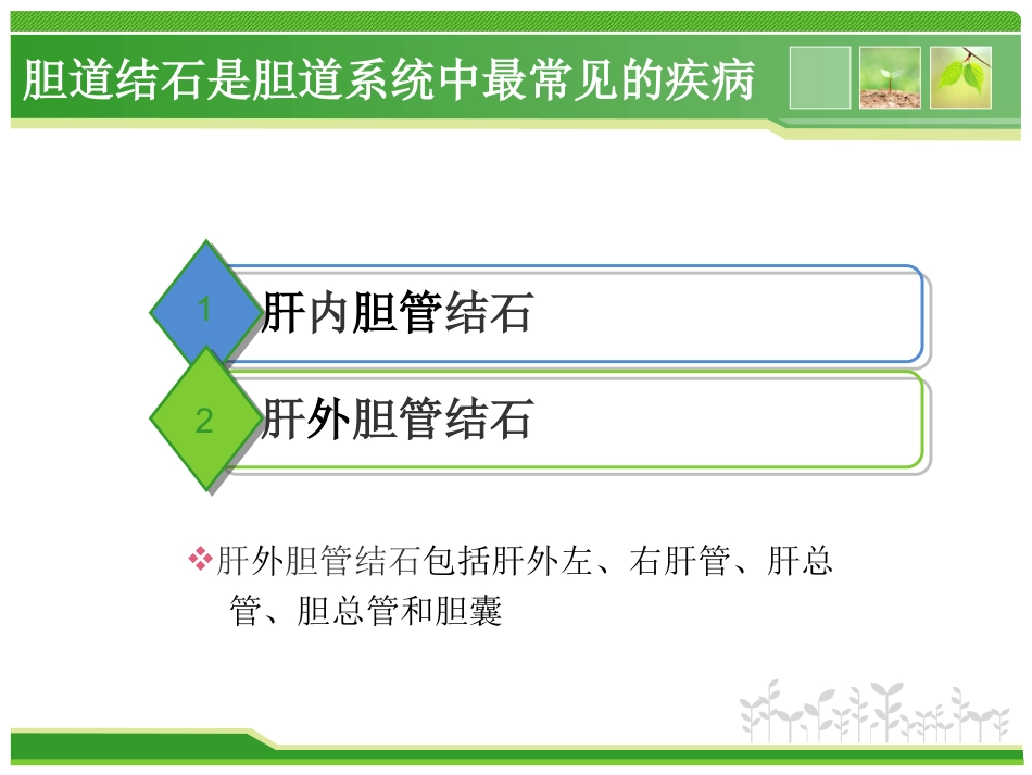 外科护理：胆总管结石护理查房_第3页