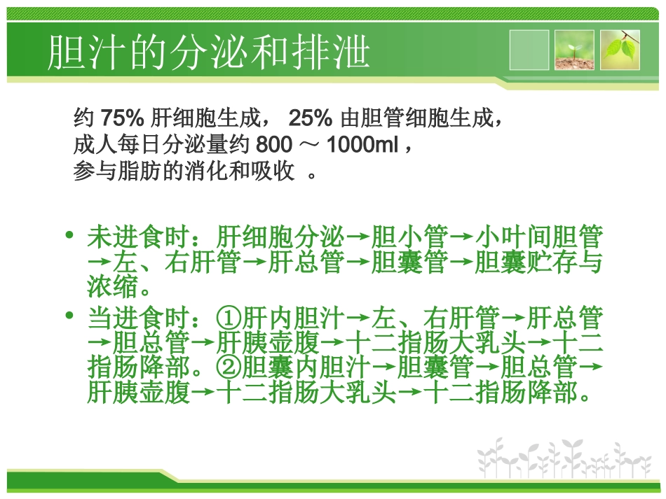 外科护理：胆总管结石护理查房_第6页