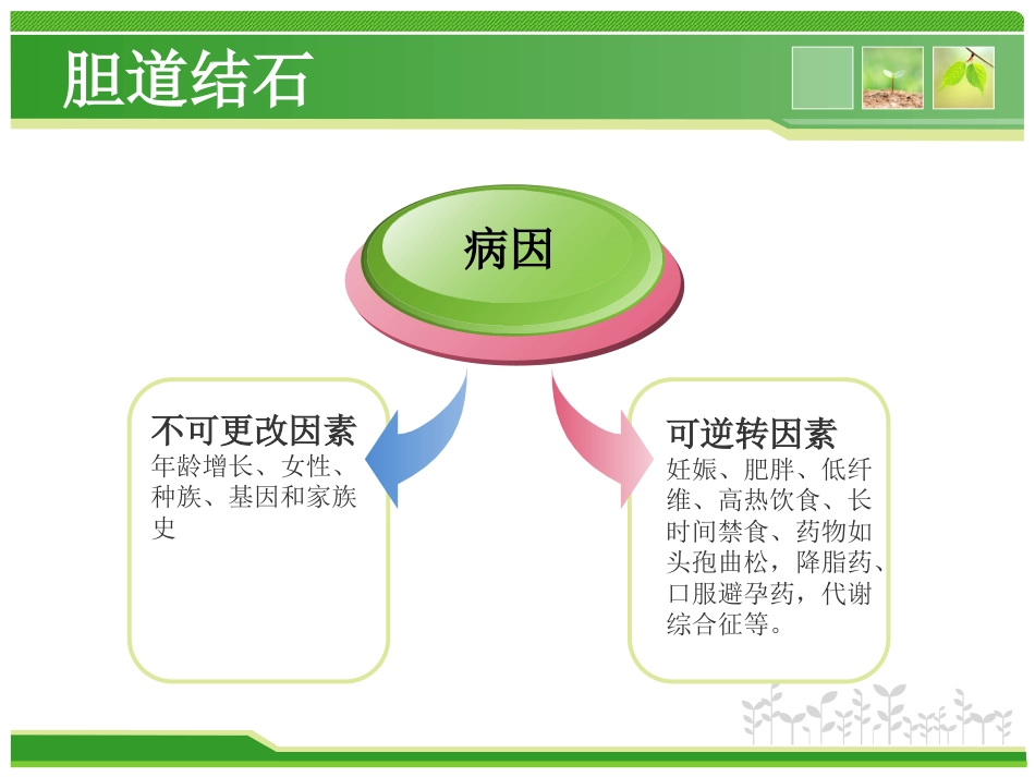 外科护理：胆总管结石护理查房_第7页