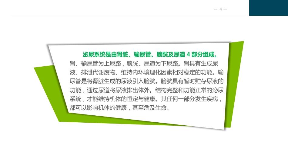 泌尿及男性生殖系统疾病病人的护理_第4页