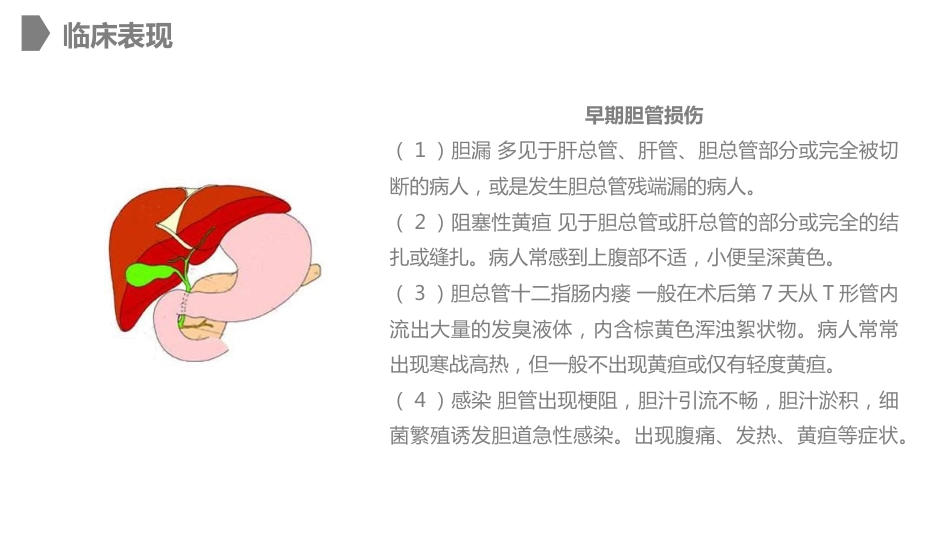 外科护理：胆道损伤的护理措施知识课件_第10页