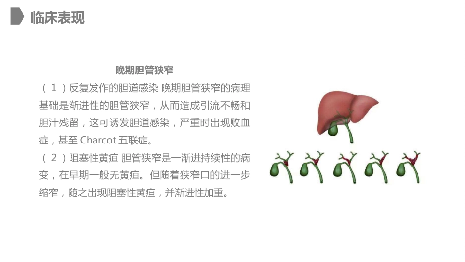 外科护理：胆道损伤的护理措施知识课件_第11页