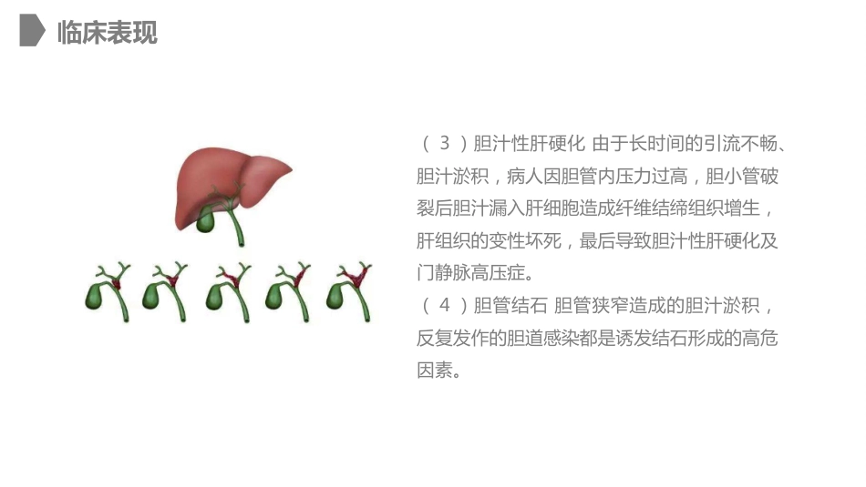 外科护理：胆道损伤的护理措施知识课件_第12页