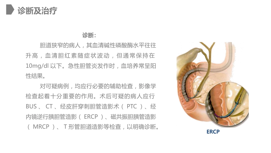 外科护理：胆道损伤的护理措施知识课件_第13页