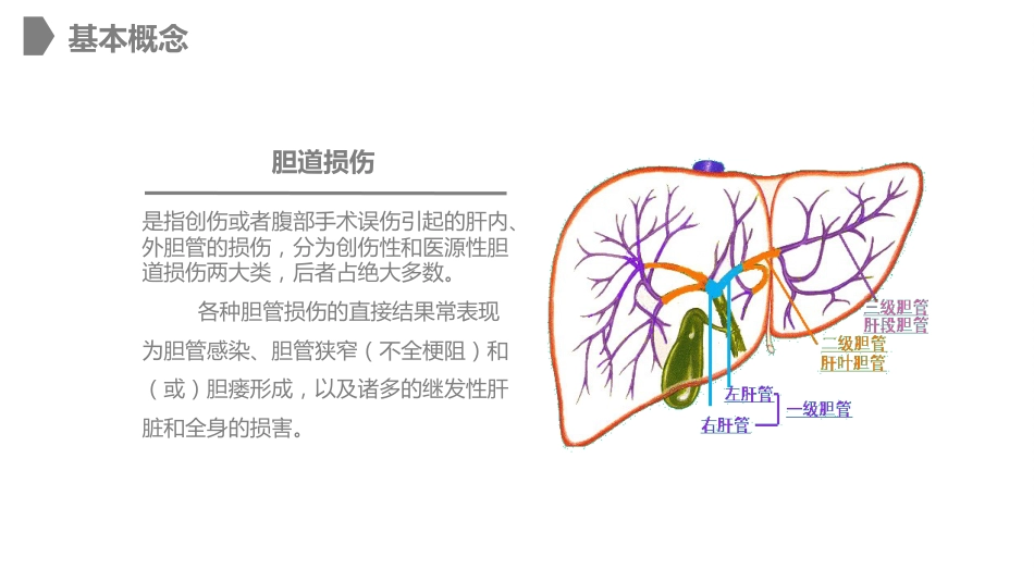 外科护理：胆道损伤的护理措施知识课件_第4页